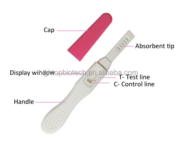 strip midstream pregnancy test Factory One Step Hcg Chinese Ce&iso13485&fsc Approved