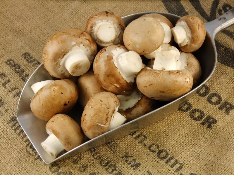 market price for detan cremini mushroom