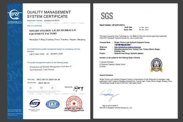 Hydraulic Fittings 60 Cone JIS BSPT Female Connectors