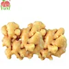 Fresh And Healthy Vegetable With Chinese Ginger