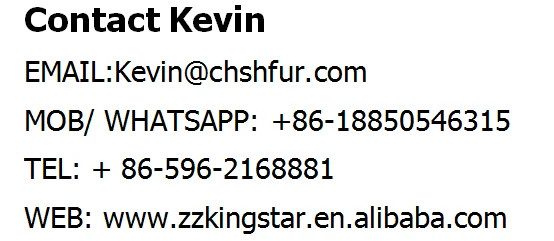 contact information.png
