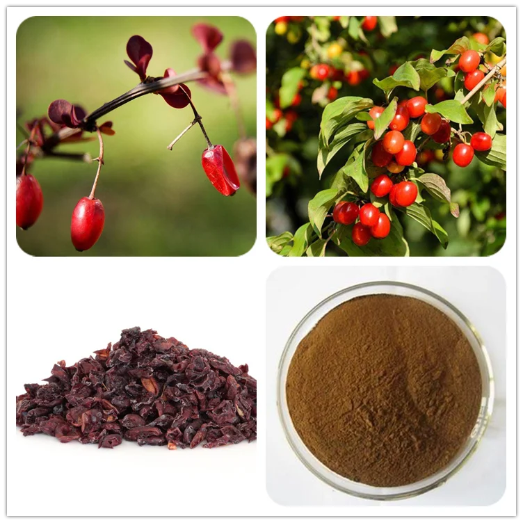 Dogwood Powder Dogberry Fruit Macrocarpium Cornus Officinalis Extract ...