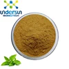Best Price Mint Extract Powder