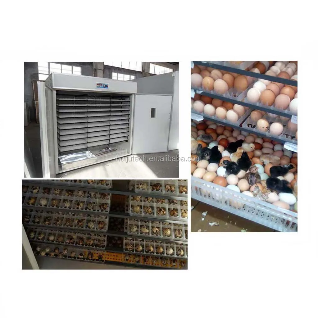 Chicken incubator thermostat for sale