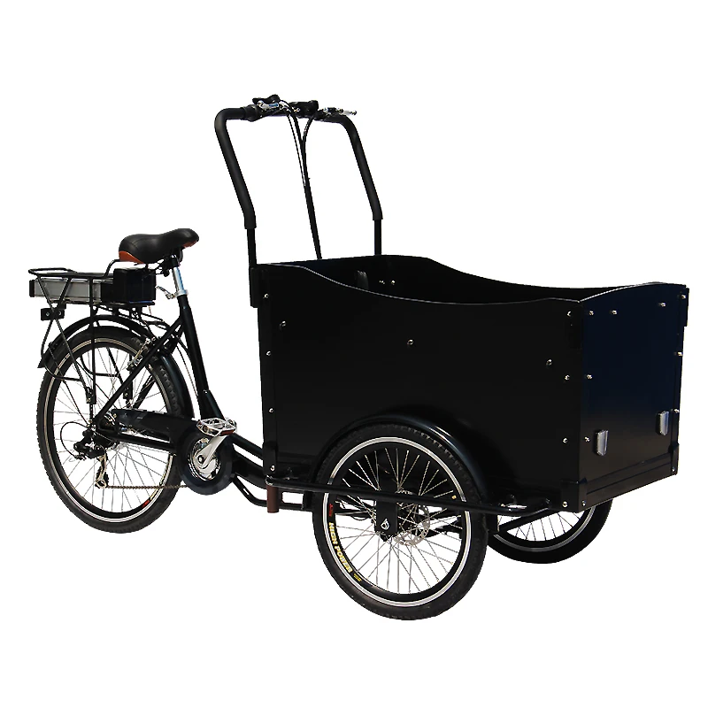 250w Two Wheeels Electric Cargo Bike Noelectric Cargo Bike For Sale