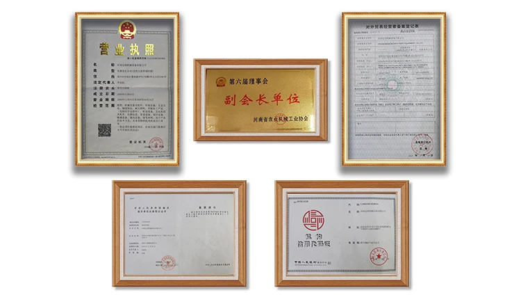 Belt Conveyor Mesh Belt Dryer