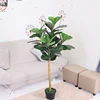 Manufacturer popular artificial tree plant fiddle ficus banyan plants