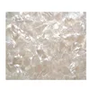 White MOP, White butterfly seashell sheet, Shell paper