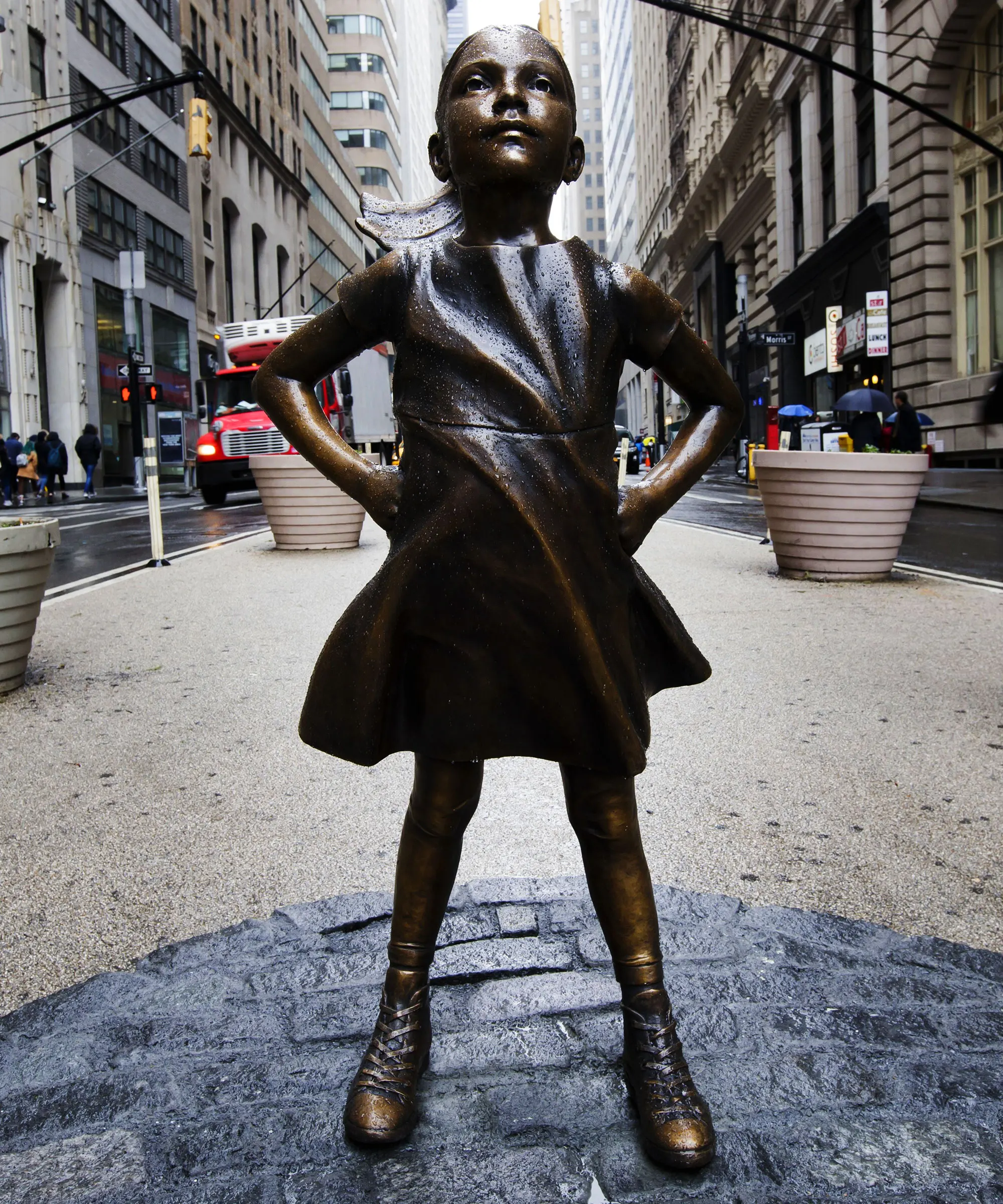 Outdoor Garden Decorative Famous Bronze Life Size Wall Street Bull