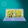 artificial PVC human bone density osteoporosis model uesd in clinical analytical instrument