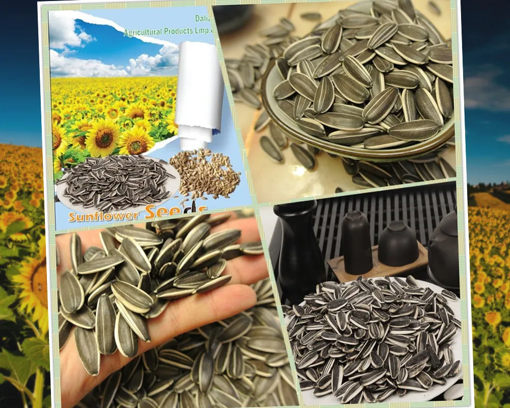Hulled Roasted Sunflower Seeds Buy Sunflower Seed,Hulled Sunflower