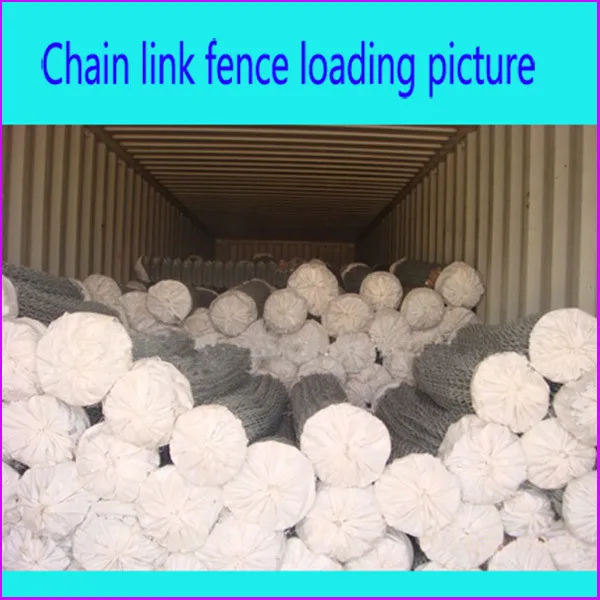 Hot sale Factory producing 50*50 mm used galvanized chain link fence