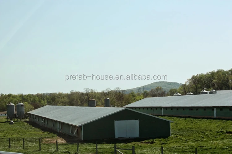 Industrial chicken house for sale, chicken house trusses for sale