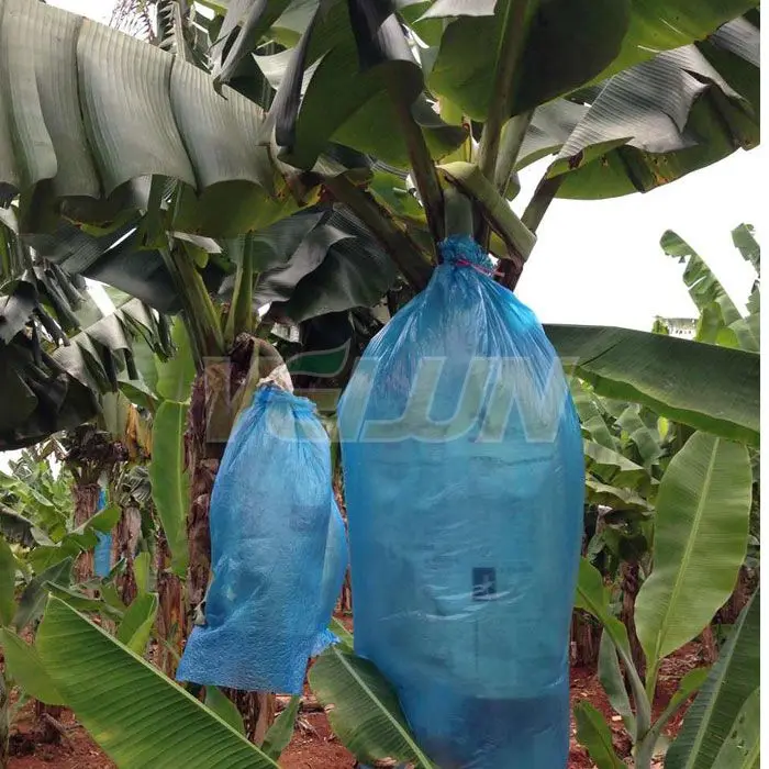 Banana Bag Pp Nonwoven Fruit Protection Bagbanana Grow Bag Buy Banana Bagbanana Fruit Cover