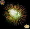 Wholesale SQS pyrotechnics big show 1.3G 4 inch display shells fireworks