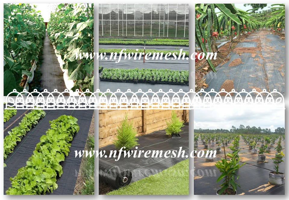 Eco-friendly Polypropylene Woven Garden Weed Control/guard Mulch Sheet