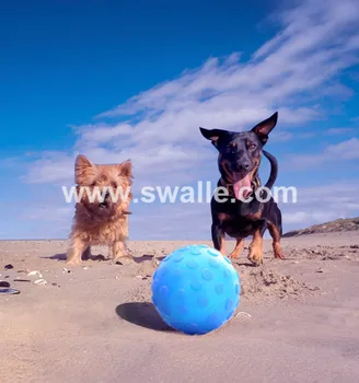 remote control ball for dogs