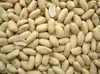 PEANUT BEADED PEANUT KERNEL