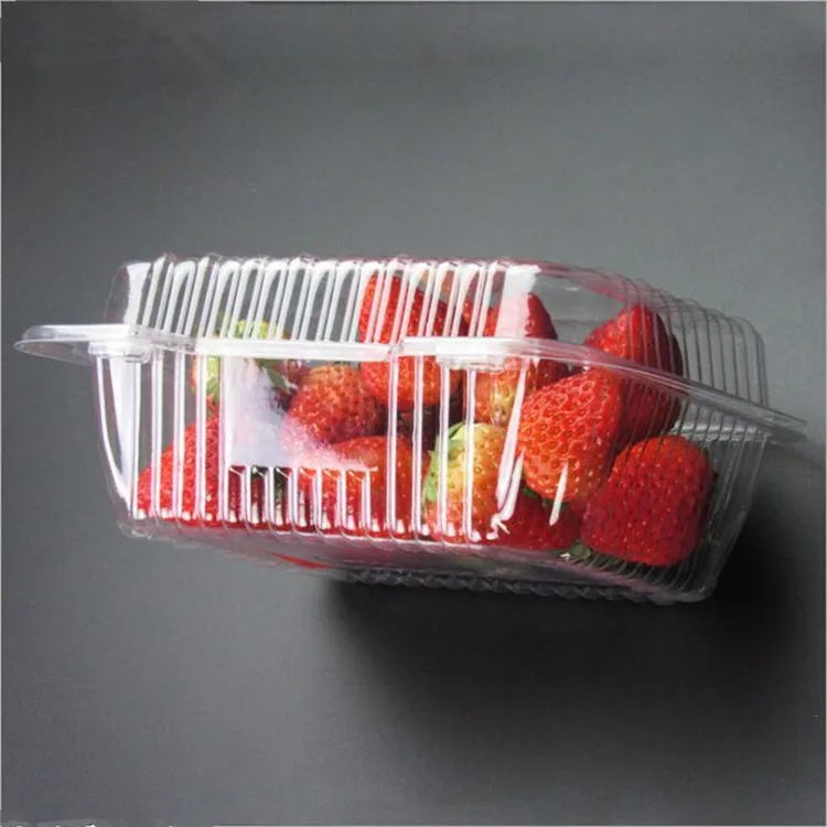 500g Clear Plastic Biodegradable Fruit Strawberry Packaging Container