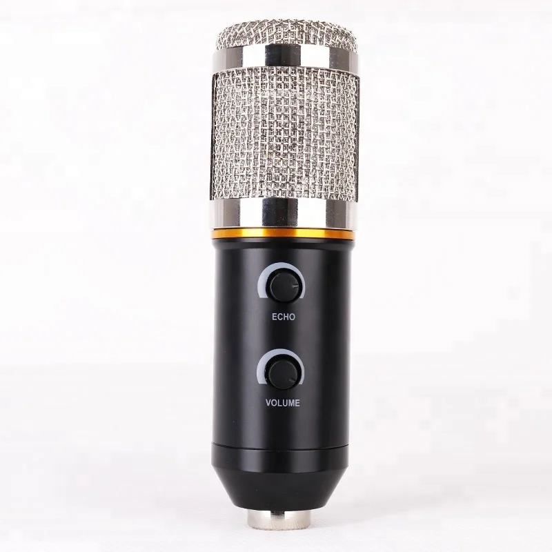 Microphone Echo Software Pc