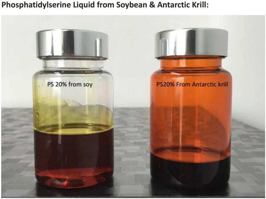 Liquid.png