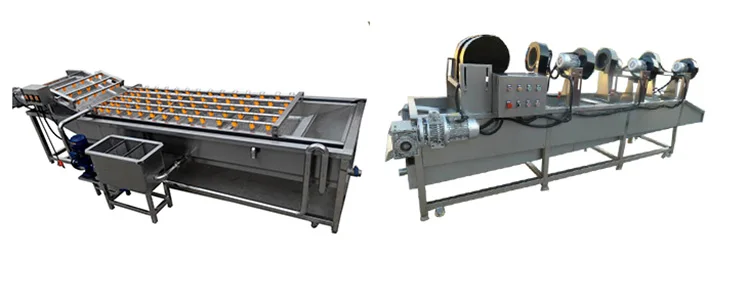 fruit vegetable processing machine
