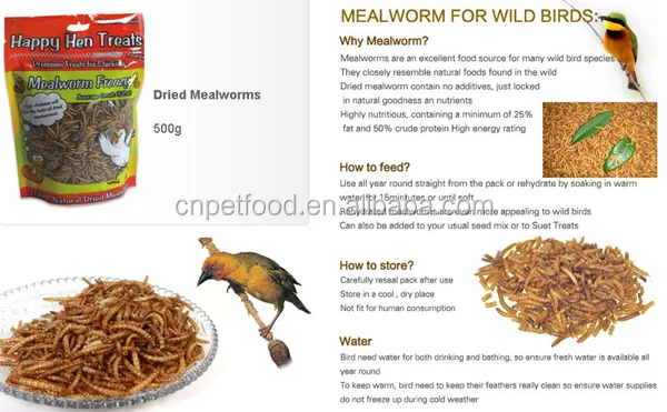 mealworm