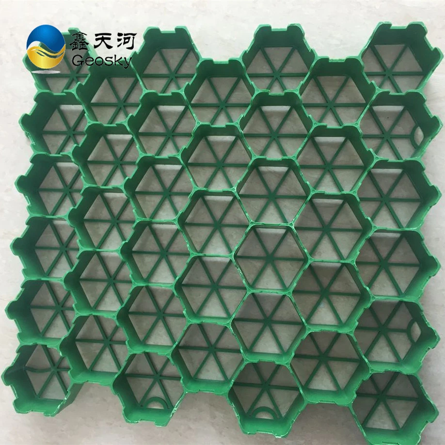 geosky grass paver01