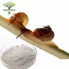 /product-detail/snail-mucus-skin-care-set-snail-slime-snail-extract-60595389425.html