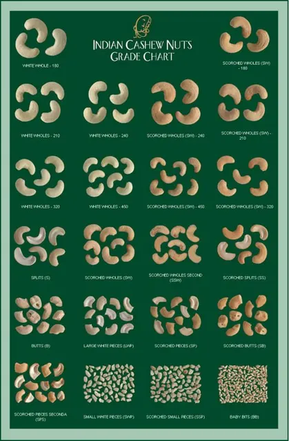 cashew price chart