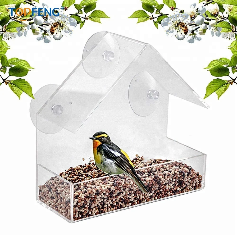 Window Bird Feeder With 3 Strong Extra Suction Cups Buy