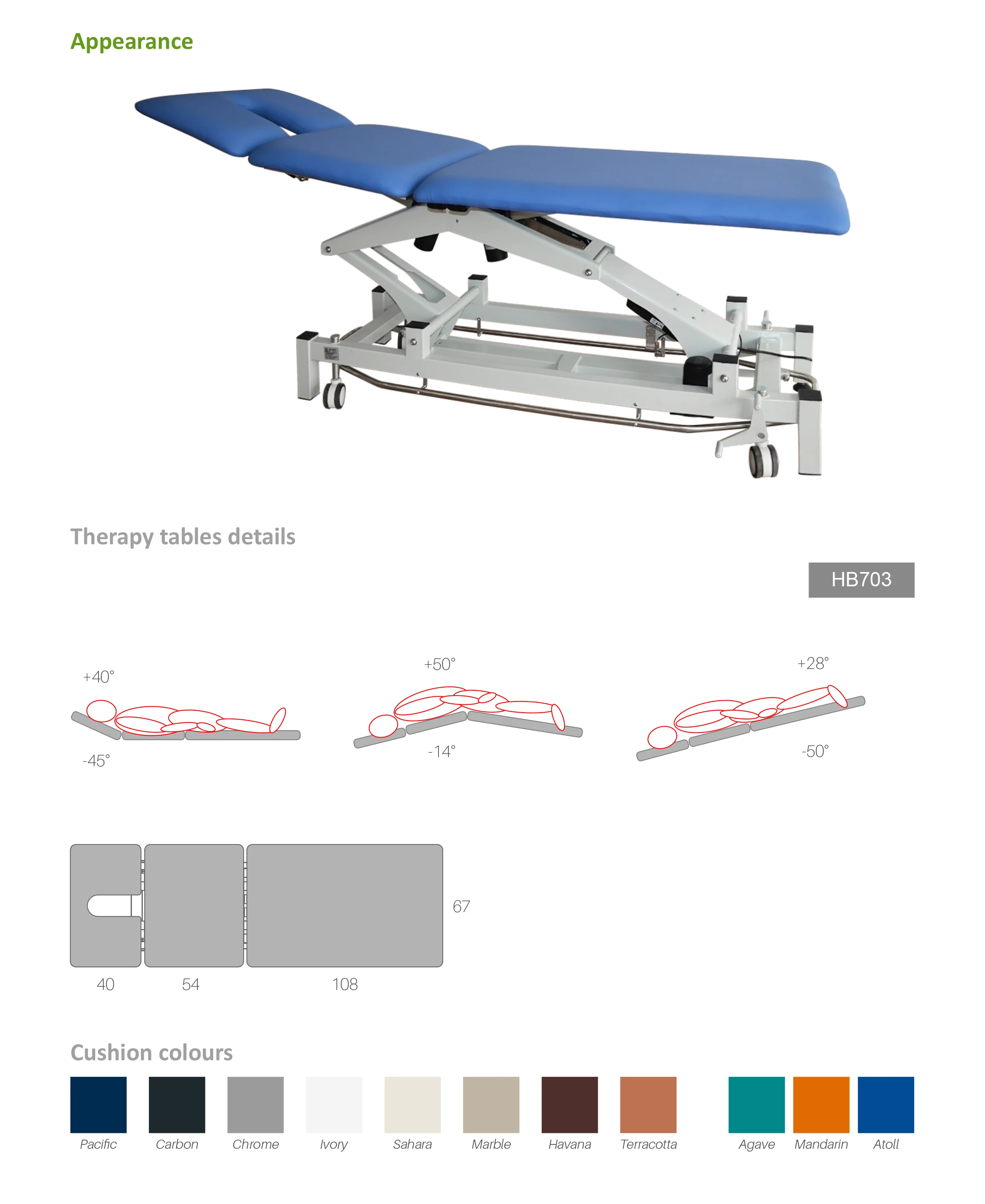 Physical Treatment Rehabilitation Therapy Hospital Use Happy Dream