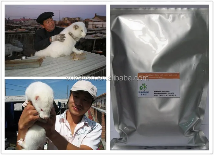 fox, fur animals digestive enzymes health supplements.jpg