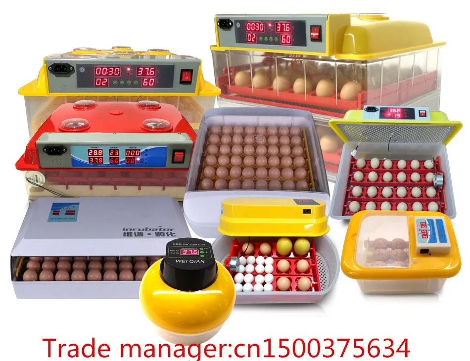 High Hatching Rate Solar Power Chicken Egg Incubator ...