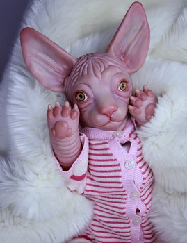 reborn sphynx cat