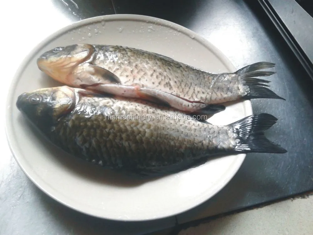 fish cleaning tools