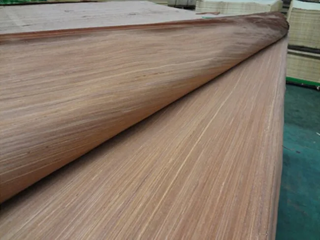 engineered gurjan wood face veneer wardrobe door design