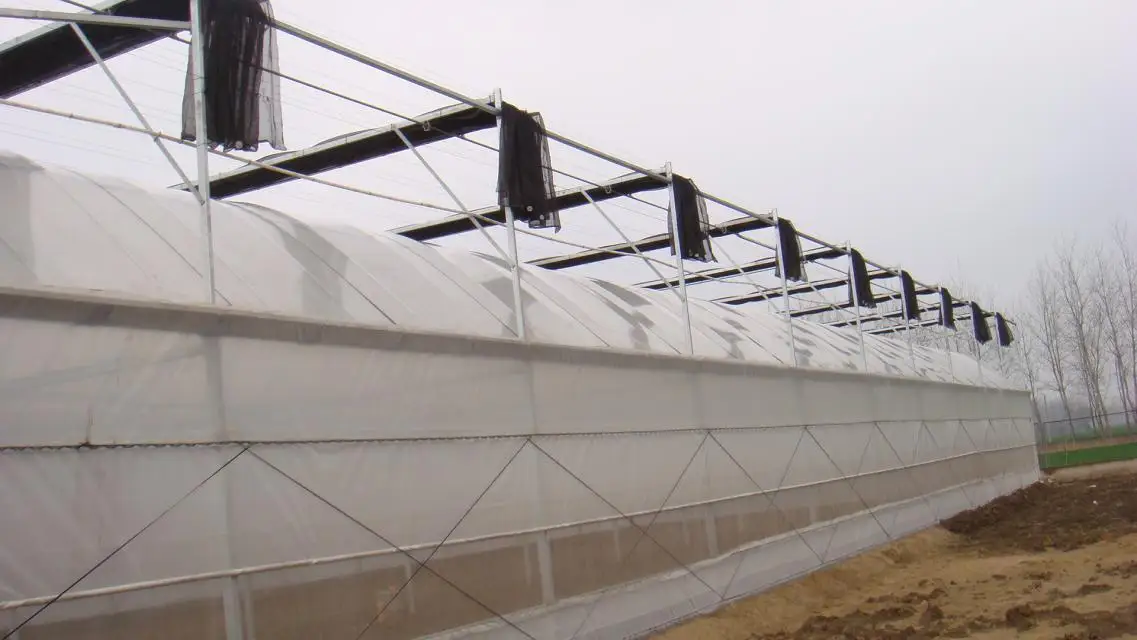 Double Layer Inflated Poly Film Greenhouses Buy Green House Panels