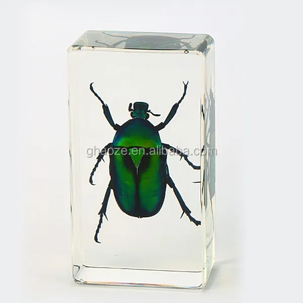 Acrylic Insect Paperweight Resin Spider Paperweight - Buy Resin Spider ...