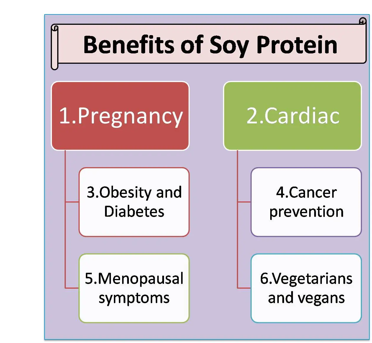 Benefits-of-Soy-Protein.jpg