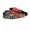 Pet Dog Bullet Nail Rivet Studded Strap Dog Collar