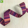 Alibaba china supplier 25mm polyester webbing 2 color strap