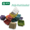 Custom Pulp moulded water-proof cherry tomato packaging