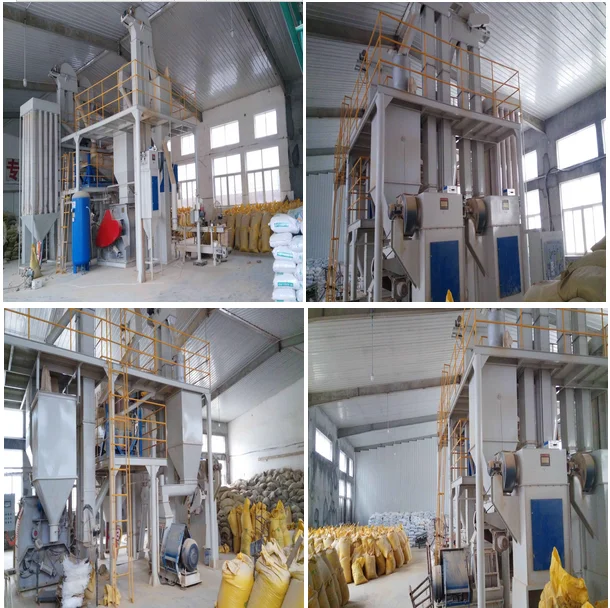 choline chloride factory picture