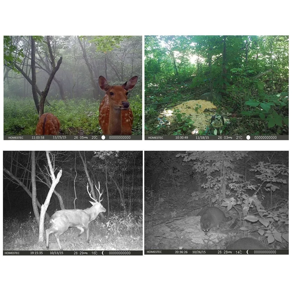 H-3 12MP Hunting Camera Outdoor Digital Hunting Trail Camera High Quality MMS GPRS SMS Cameras Without LCD Wildlife Cameras (3).jpg