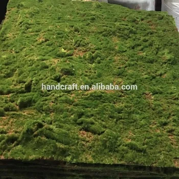 Artificial Grass Wall Moss Mats For Indoor Outdoor Decoration