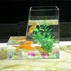 /product-detail/customized-wall-mounted-acrylic-fish-bowl-tank-mini-wall-hanging-pmma-aquarium-60276932196.html