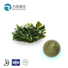 Supply pure Fucoxanthin 10%-50% Fucoidan 10-95% Kelp Extract