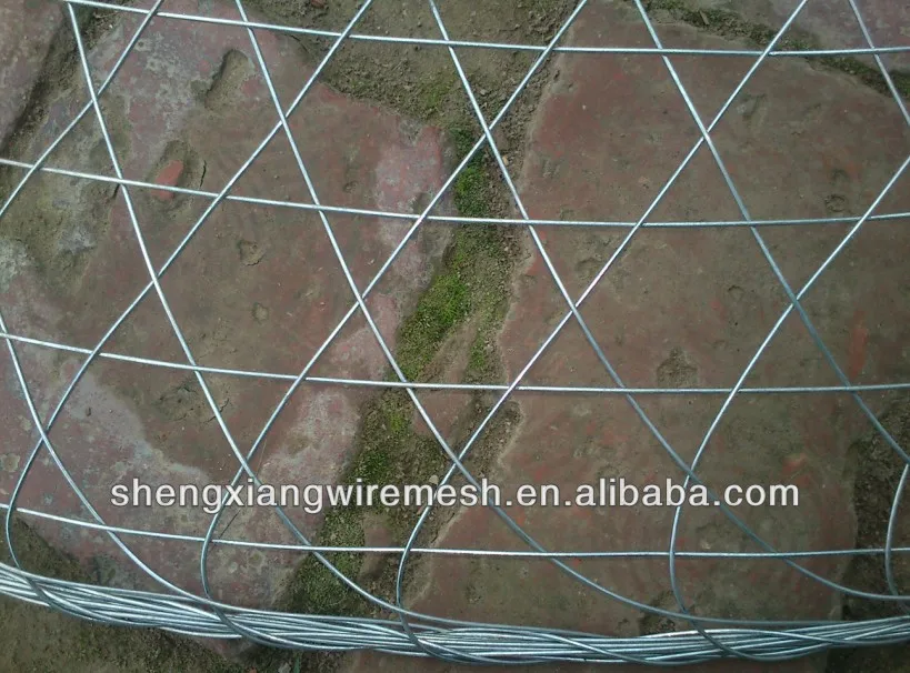 Fish Cage Wire.jpg