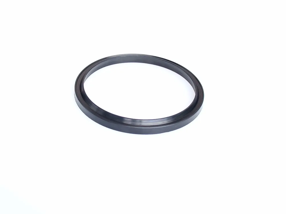 DSH seals applied in reciprocating motion of piston rod dust wiper seal